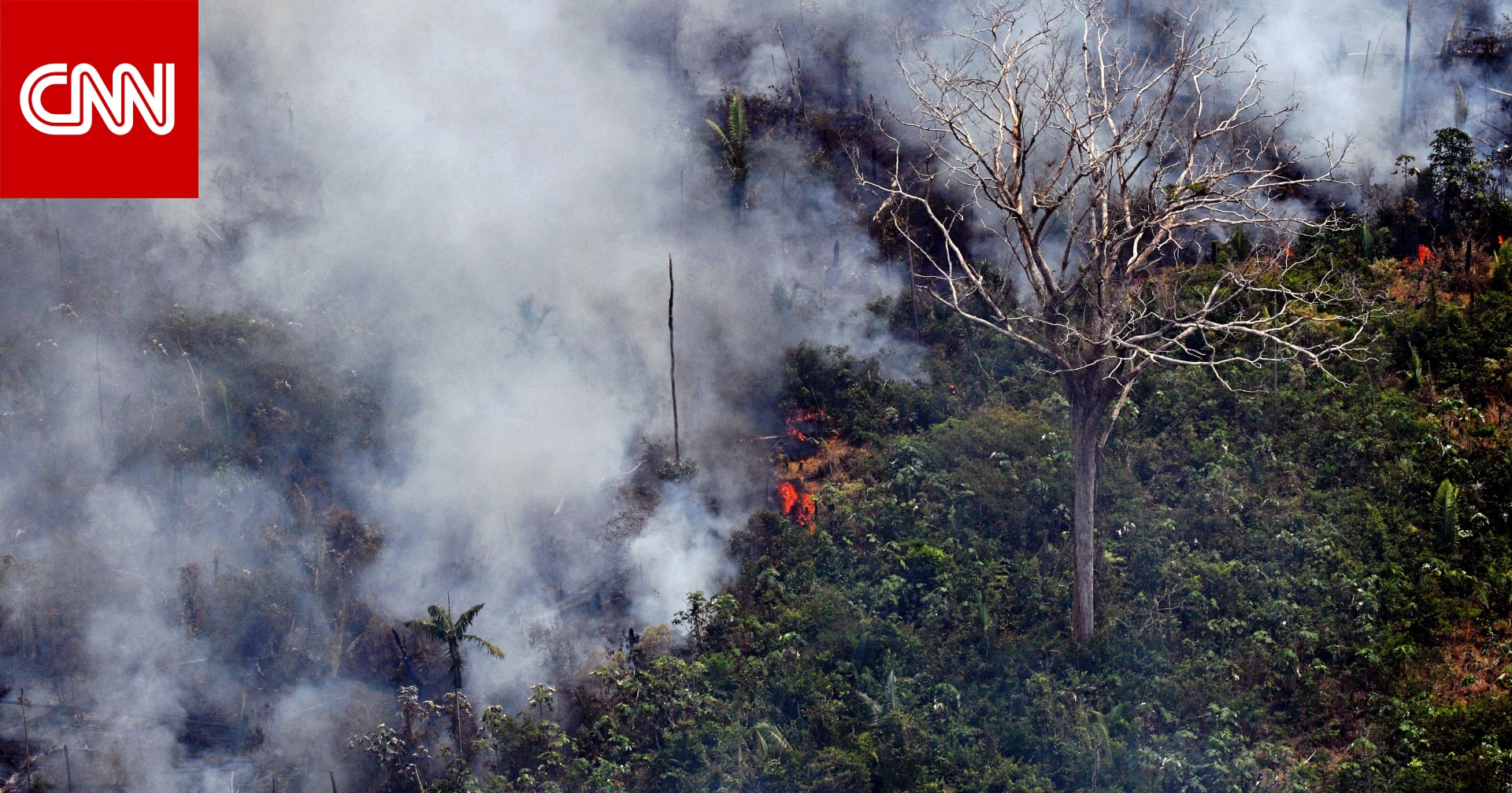 البرازيل تستعين بالجيش لمكافحة حرائق الأمازون.. وترامب يعرض المساعدة