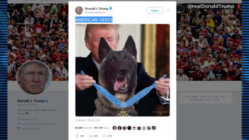 ترامب يدعو كلبا شارك بعملية قتل البغدادي للبيت الأبيض