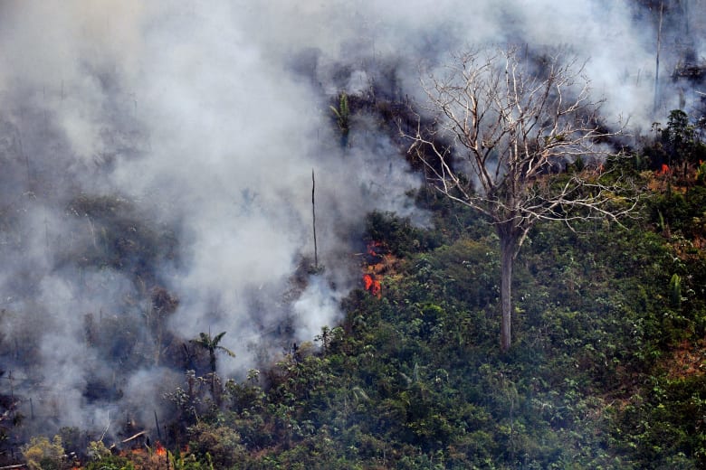 البرازيل تستعين بالجيش لمكافحة حرائق الأمازون وترامب يعرض