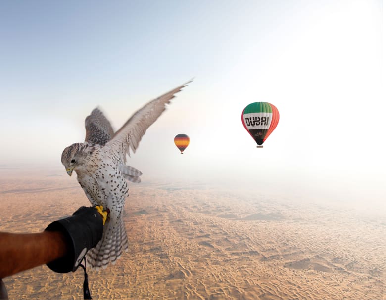 تجربة تحبس الأنفاس ... حلق عالياً مع الصقور فوق هذا البالون فوق صحراء دبي